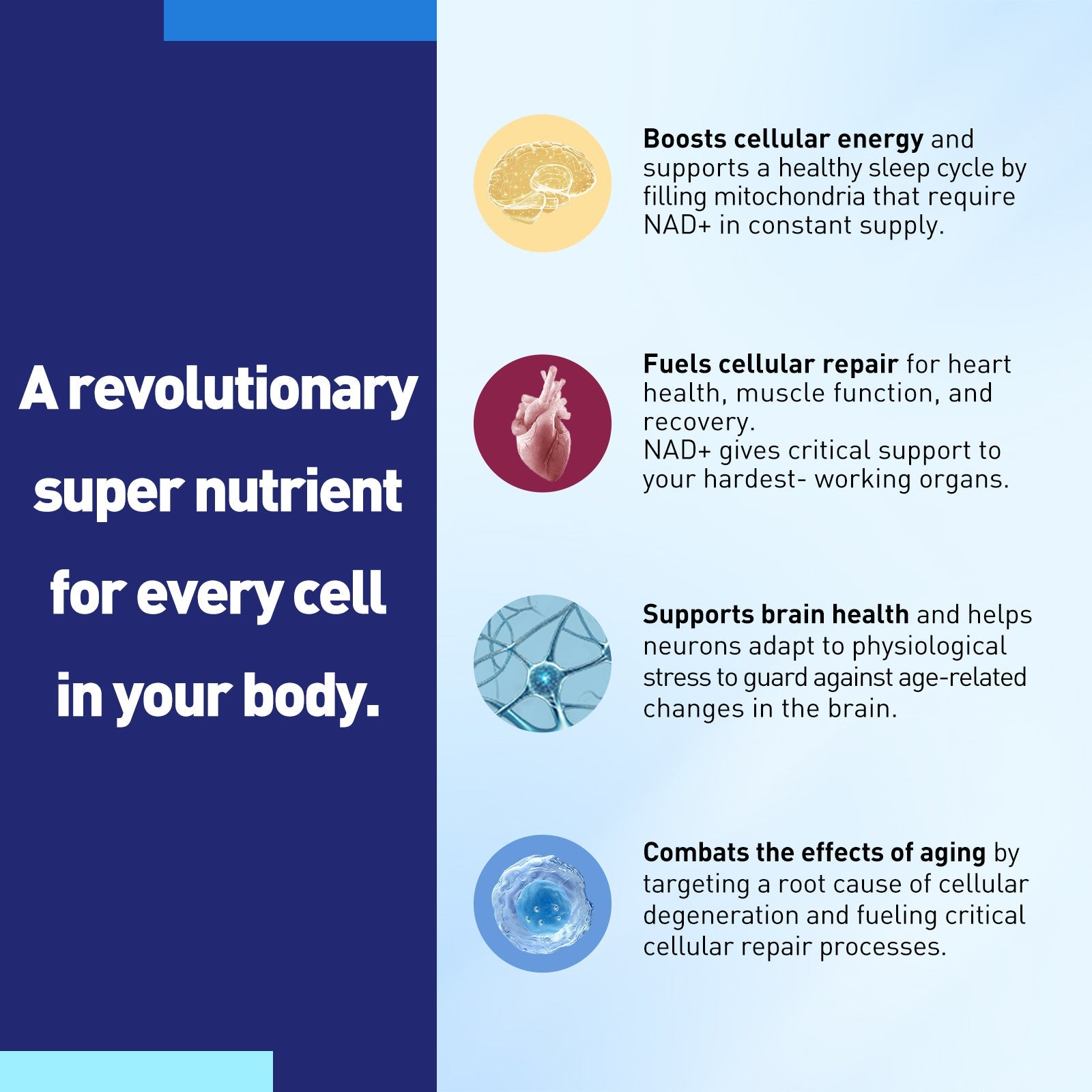 XKQ NAD+ Nicotinamide Riboside Supplement - Support NAD+ Levels & Healthy Aging XKQ Nutra Shop