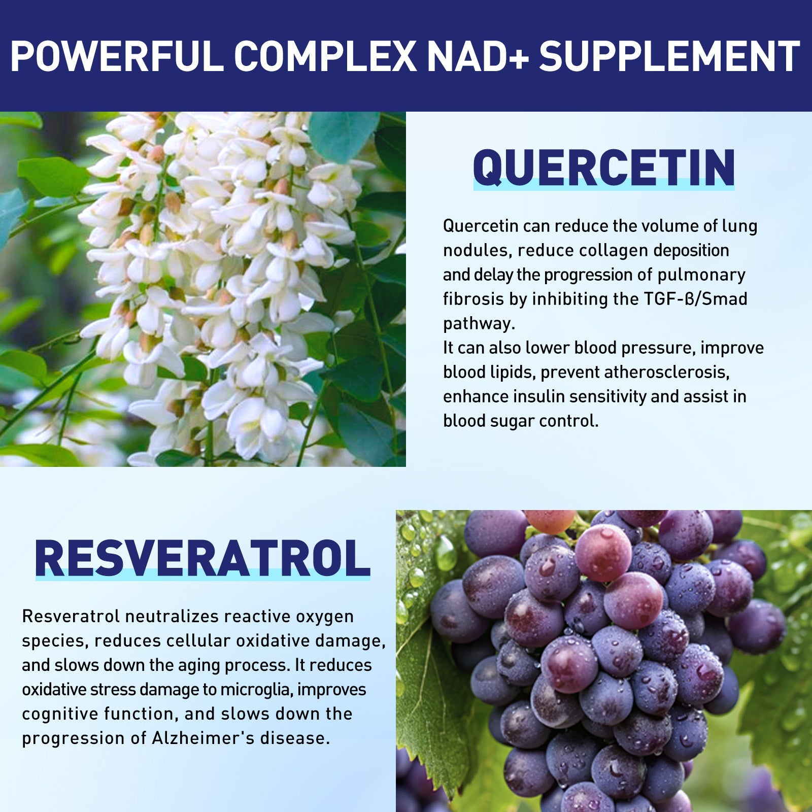 XKQ NAD+ Nicotinamide Riboside Supplement - Support NAD+ Levels & Healthy Aging XKQ Nutra Shop