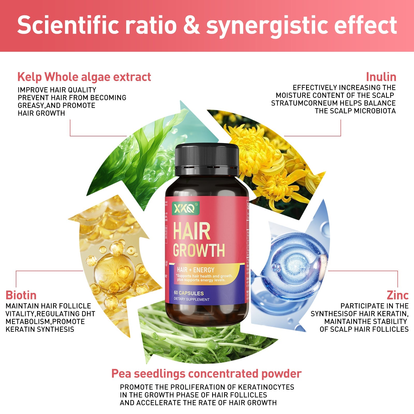 XKQ Hair - Energizing Capsules: Strengthen Hair and Boost Vitality XKQ Nutra Shop