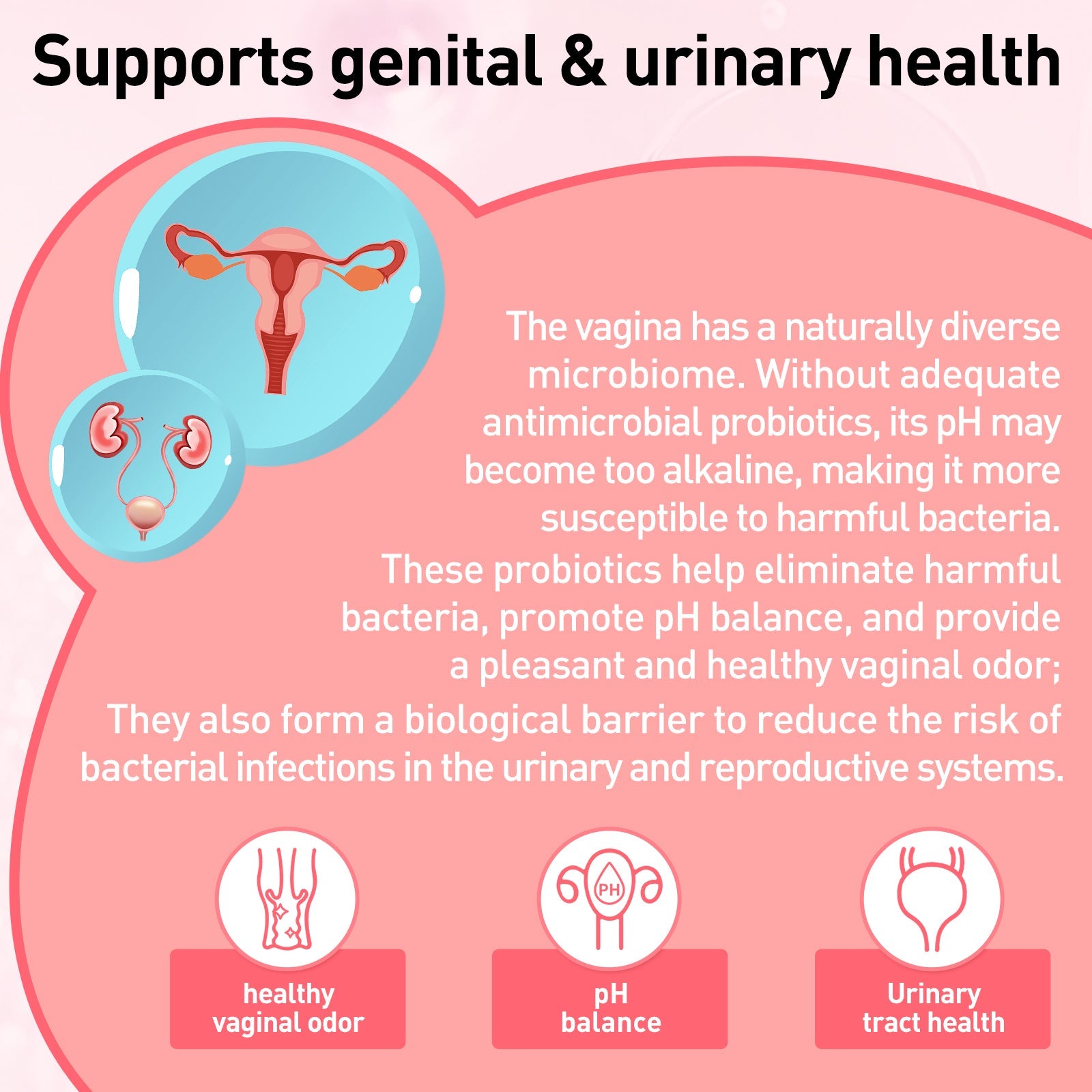 XKQ Women's Probiotic Vaginal Health Supplement - 60 Capsules XKQ Nutra Shop